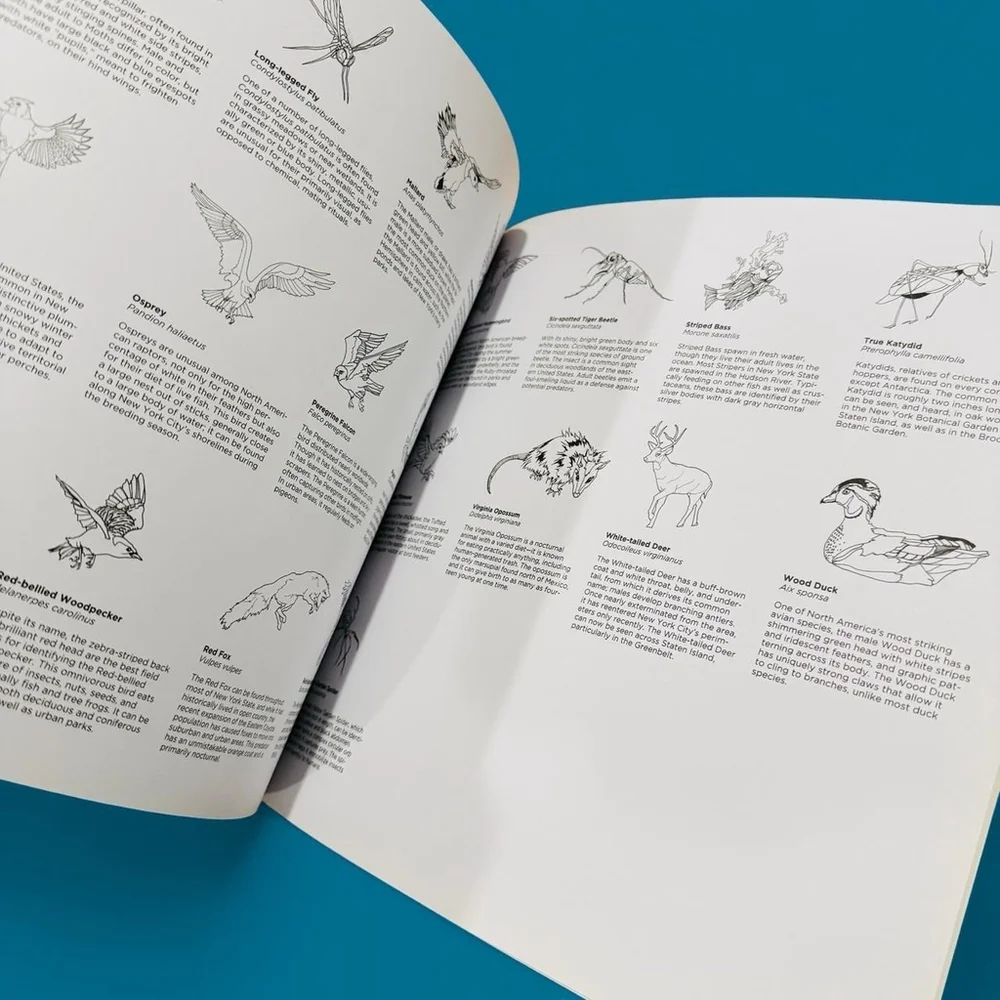 Wildlife of New York: A Five-Borough Coloring Book by Giada Crispieles